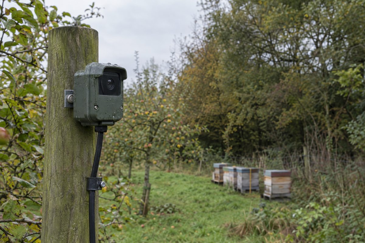 A weatherproof camera unit on a post at the edge of an orchard, with beehives in the background